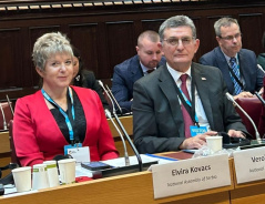16. oktobar 2025. Delegacija Narodne skupštine na sastanku Parlamentarne dimenzije samita Zapadnog Balkana u Londonu