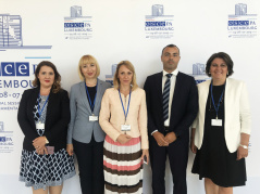 4. jul 2019. Delegacija Narodne skupštine Republike Srbije na redovnom godišnjem zasedanju u Parlamentarnoj skupštini OEBS