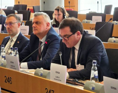 14. април 2026. Делегација Одбора за европске интеграције на Међупарламентарном састанку Одбора за уставна питања ЕП на тему Институционални аспекти вештачке интелигенције у контексту европских интеграција